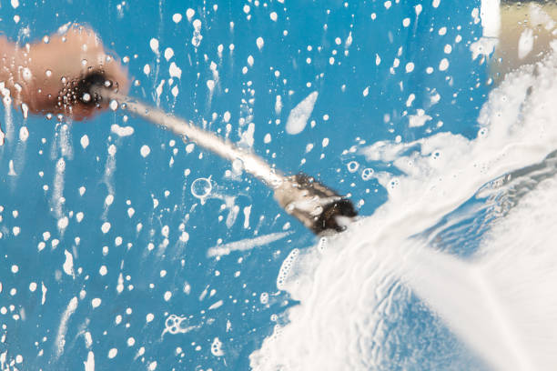 Animal Enclosure Cleaning in Volo, IL