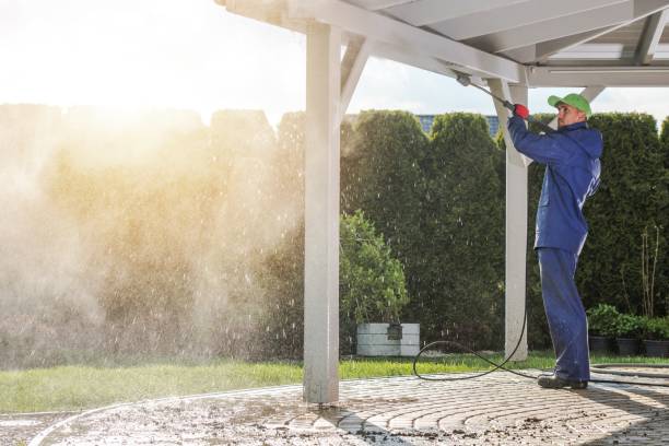 Best Soft Washing  in Volo, IL