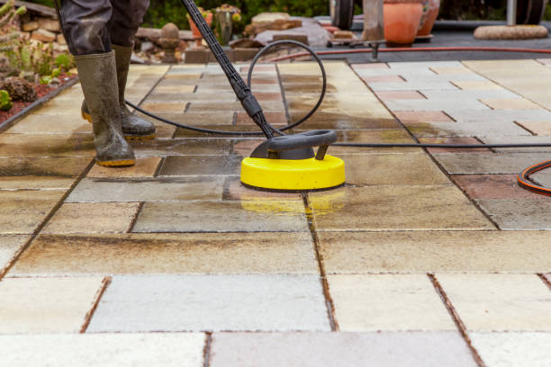 Best Pre-Holiday Cleaning  in Volo, IL